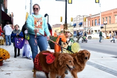 Halloween-isnt-just-for-kids.-Sniffing-for-treats-retrievers-Paisely-and-Peaches-dressed-up-as-a-ladybug-and-a-bumblebee.-Walking-them-is-owner-JoAnn-Darnall-and-her-son-Braxton.
