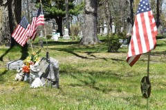 American-flags-were-placed-for-every-veteran-interred-at-Lakeville-Cemetery.-1