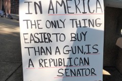 republican-senators