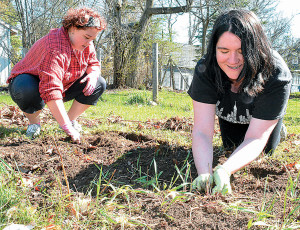 Getting their hands dirty at the Park St. home of Cathy Dine are OHS seniors Marielle Bose-Moody (left) and Emily Boomer.