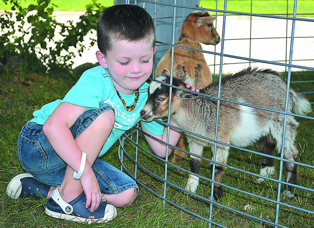 Dominic Portell, 4½, of Macomb Township, spends some quality time with a little goat. Photo by C.J. Carnacchio.