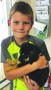 Dylan Warren, 9, of Oxford, asked his classmates to buy things for the K-9 Stray Rescue League instead of giving him birthday gifts. Photo provided.