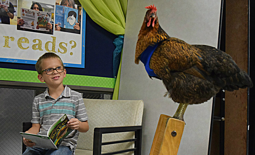 Lakeville second-grader Jake McCaffery shares a story with the famous Reading Chicken, whose name is Trish. Photo by Elise Shire.