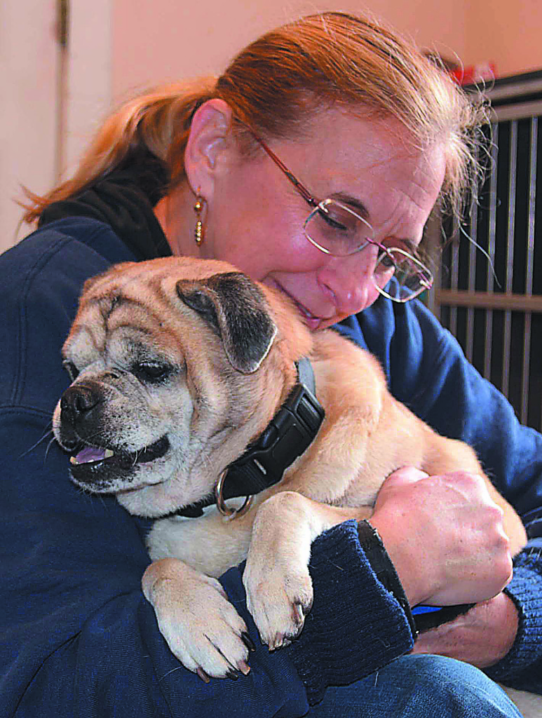 Maria Wolbert, vice president of the K9 Stray Rescue League, snuggles Otis, an 11-year-old pug mix who’s available for adoption. Senior dogs are $100 to adopt now through the end of December.  Photo by C.J. Carnacchio.