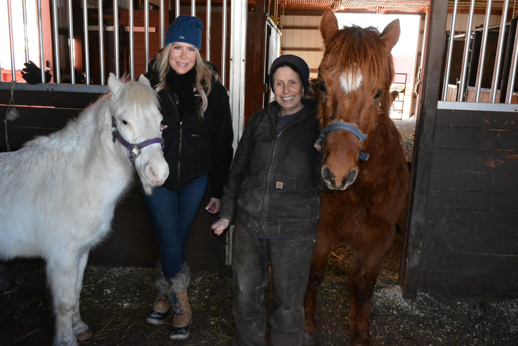 Attempting to wrangle the Pan Equus Animal Sanctuary’s newest residents, Snowflake (left) and Arthur, for a photo are volunteer Phaedra Petersen (left), of Shelby Township, and cofounder Dr. Judy Duncan, of Oxford Township. Photo by C.J. Carnacchio.