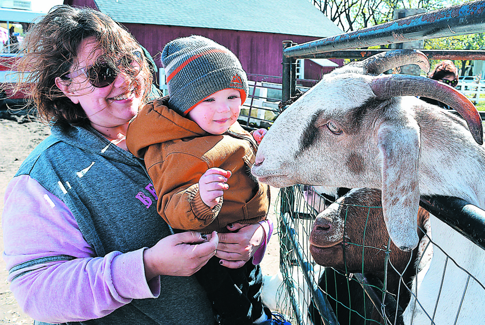 Michael Smith, 2, of Howell, gets a boost from his aunt, Robbie Mesmith, of Fowlerville, to feed a hungry goat. No fingers were lost during the taking of this photograph. Photo by C.J. Carnacchio.