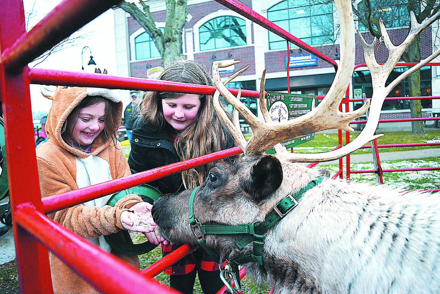 Lapeer sisters Fern (left) and Josey Hosch had fun feeding a reindeer in downtown Oxford’s Centennial Park following Saturday’s Christmas parade. Photo by C.J. Carnacchio.