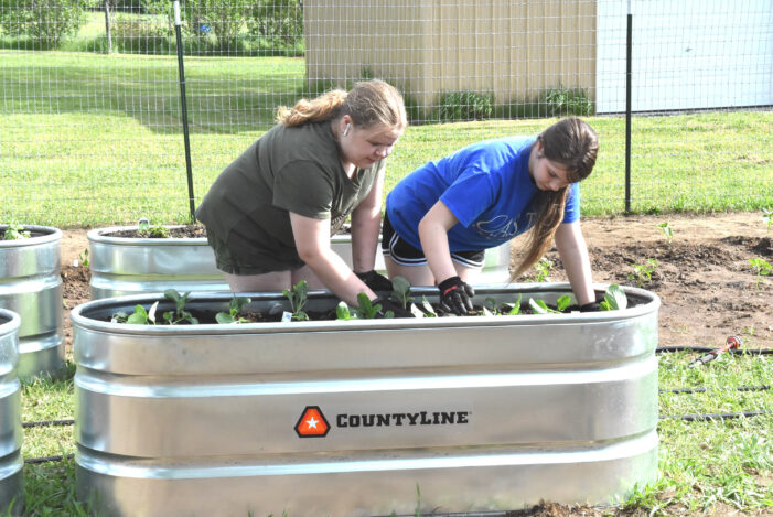 Oxford Twp. Community garden planted,  growing