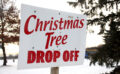 Parks, Upland Hills recycles trees