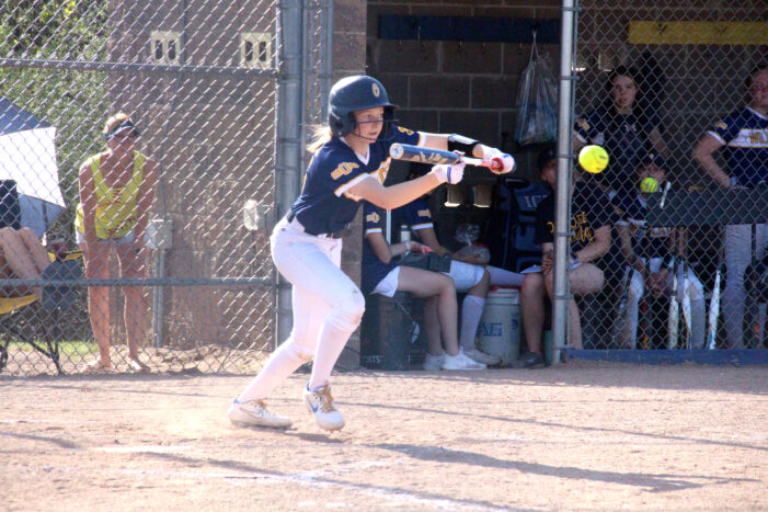Wildcats fall to LO, looks to softball playoffs