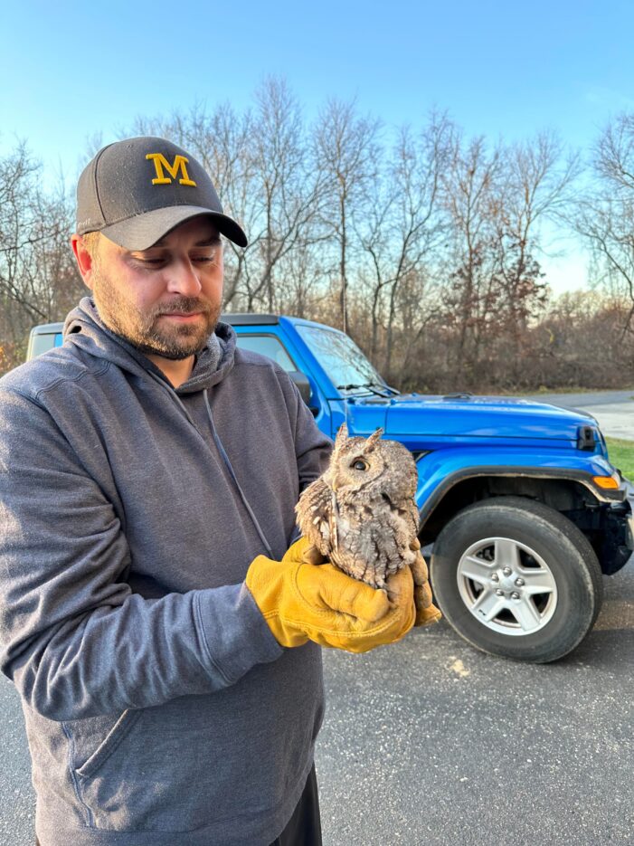 Owl rescue complete