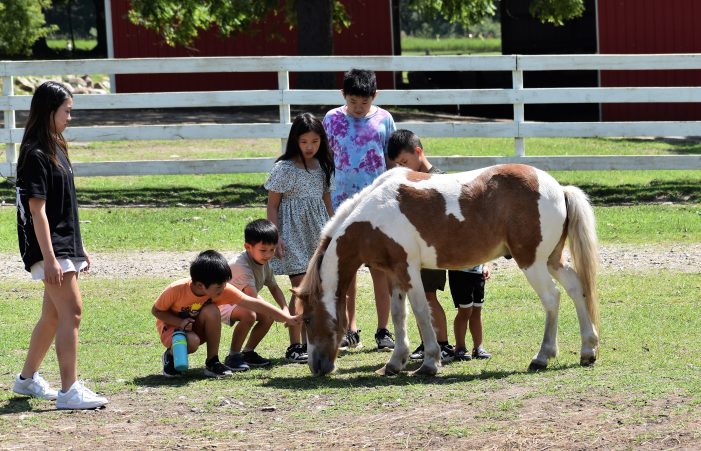 Pan Equus Animal Sanctuary (PEAS) hosts annual fall fundraiser Oct. 8